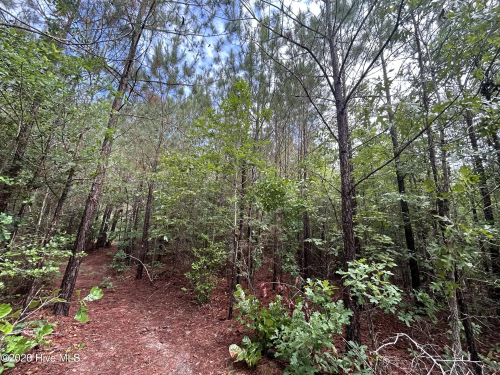 0 E V Hogan Drive Rockingham, NC 28379