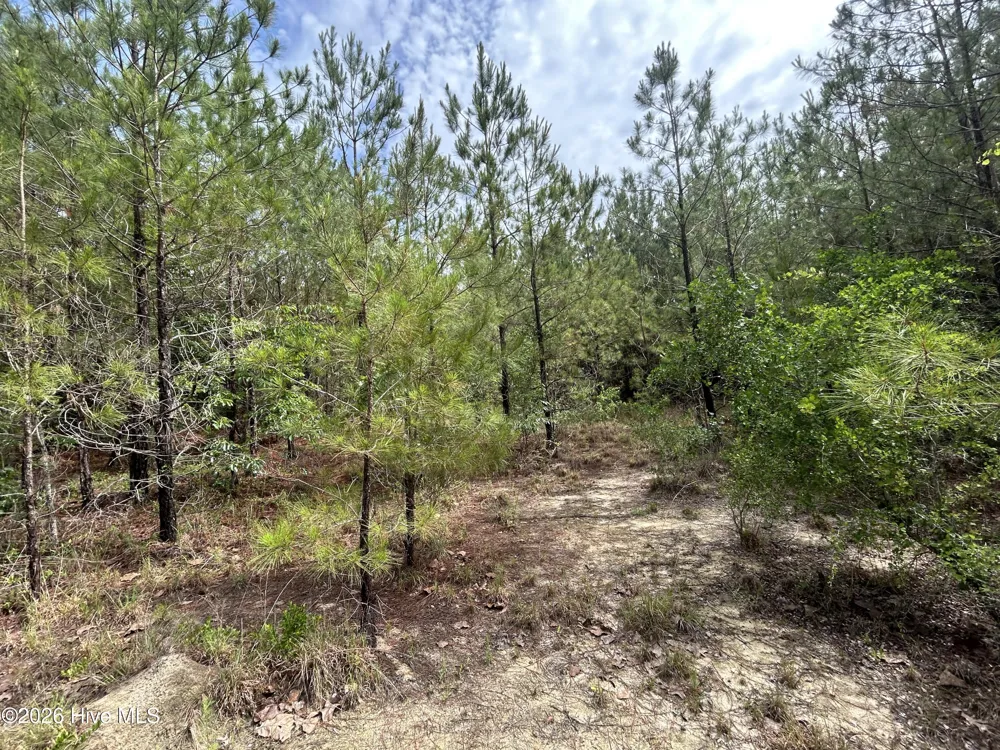 0 E V Hogan Drive Rockingham, NC 28379