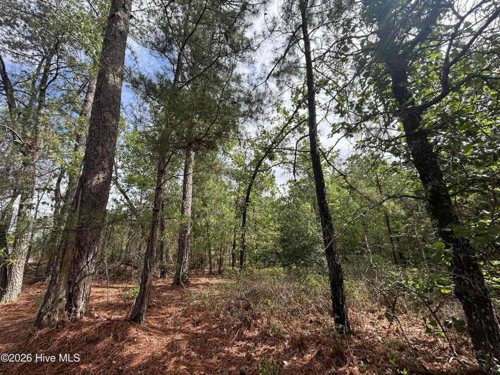 0 E V Hogan Drive Rockingham, NC 28379