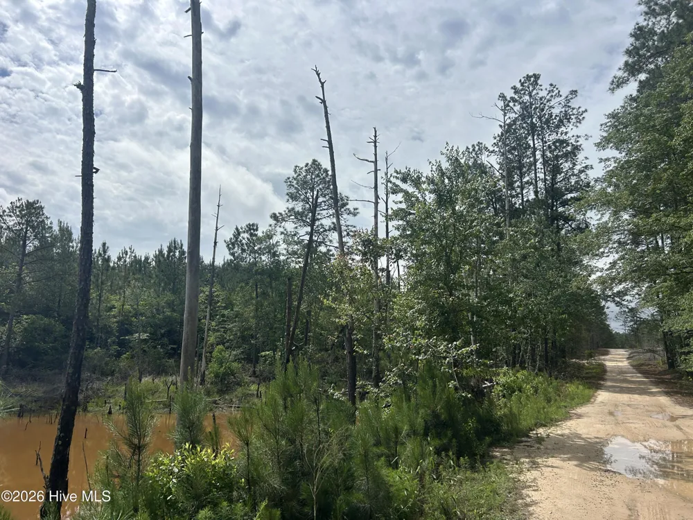 0 E V Hogan Drive Rockingham, NC 28379