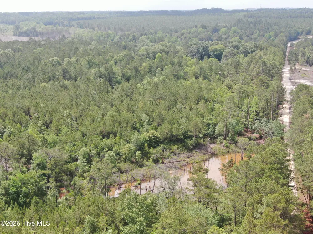 0 E V Hogan Drive Rockingham, NC 28379