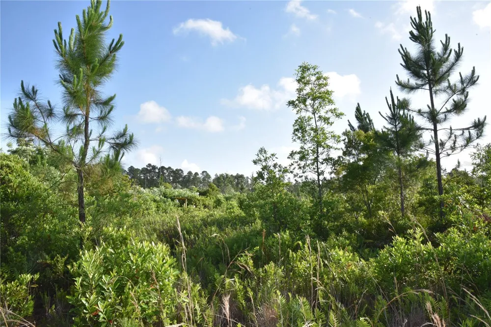 22370 NE 130TH AVENUE Fort Mc Coy, FL 32134