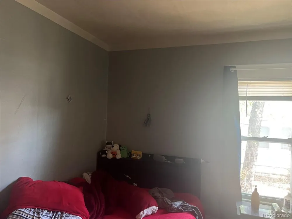 517 Ross Avenue Alamosa, CO 81101