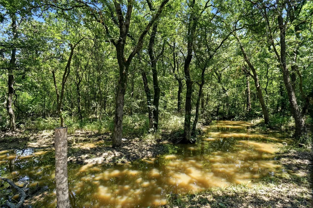 102 Manders Court Runaway Bay, TX 76426