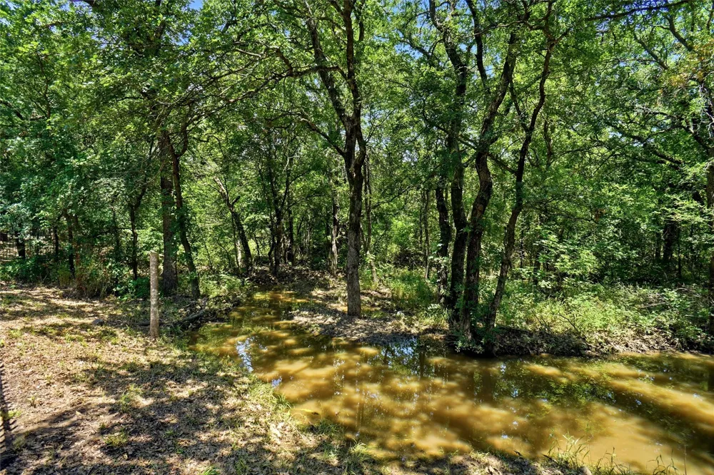102 Manders Court Runaway Bay, TX 76426