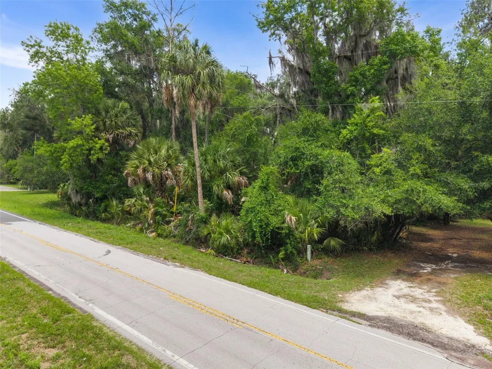 TBD SE WACAHOOTA ROAD Micanopy, FL 32667