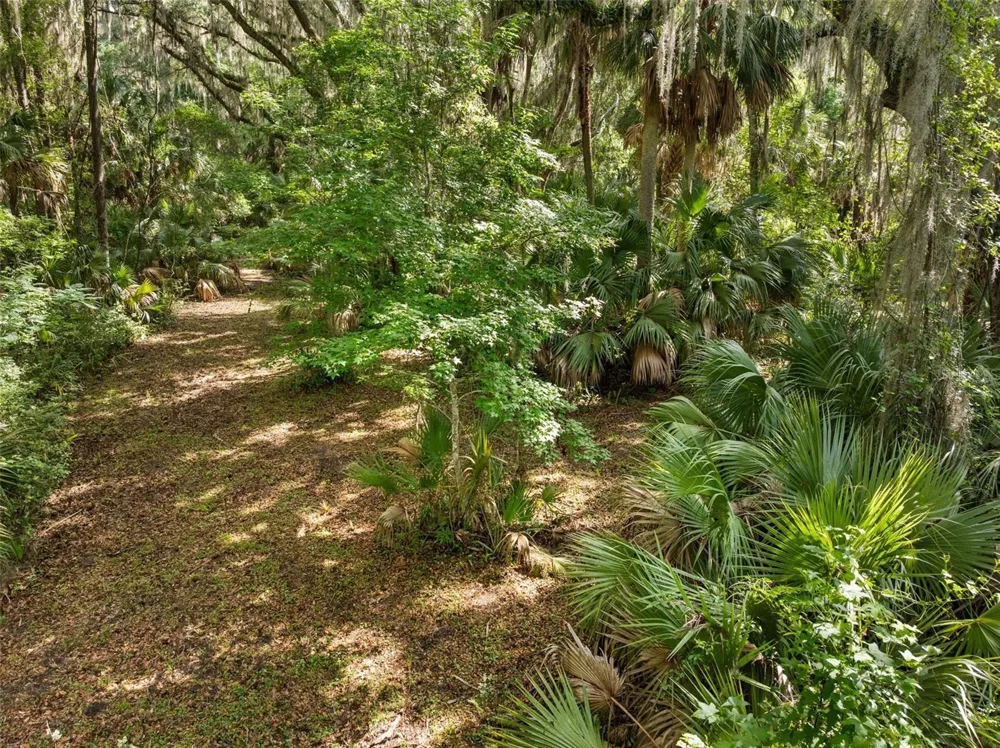 TBD SE WACAHOOTA ROAD Micanopy, FL 32667