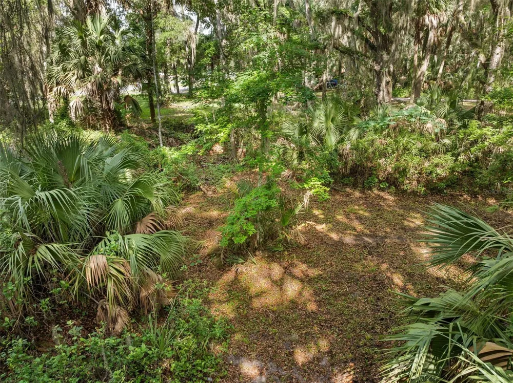 TBD SE WACAHOOTA ROAD Micanopy, FL 32667