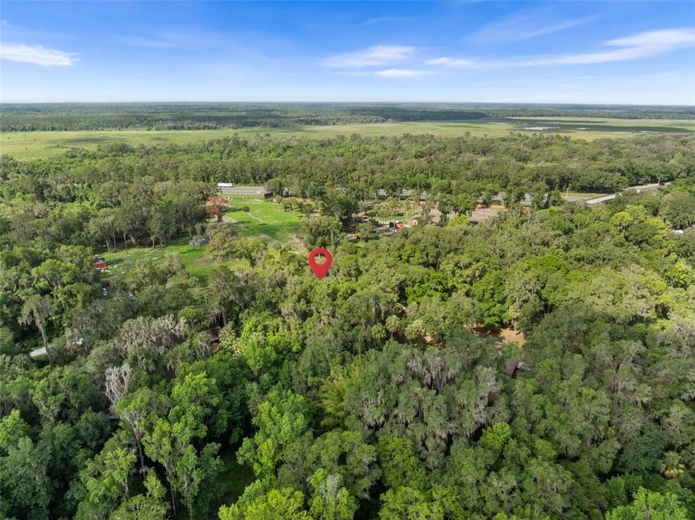 TBD SE WACAHOOTA ROAD Micanopy, FL 32667