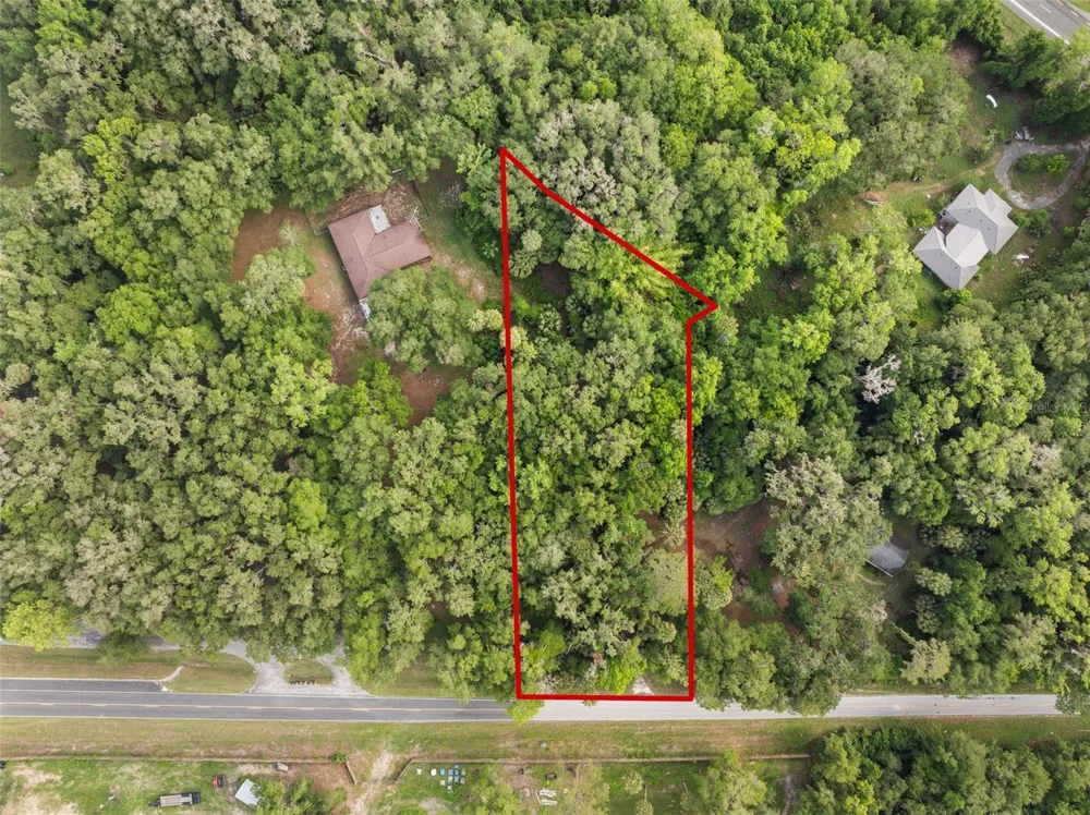 TBD SE WACAHOOTA ROAD Micanopy, FL 32667