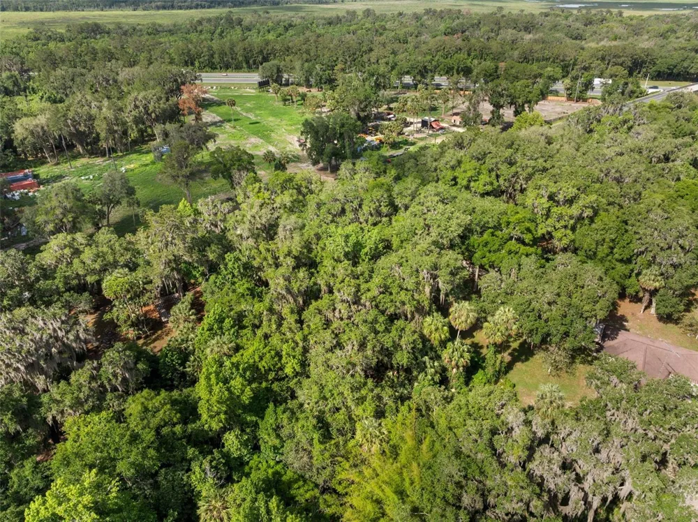 TBD SE WACAHOOTA ROAD Micanopy, FL 32667