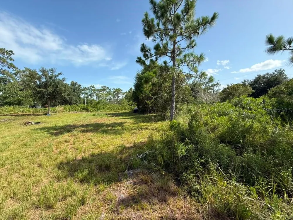 6139 KRAZY St Cloud, FL 34773