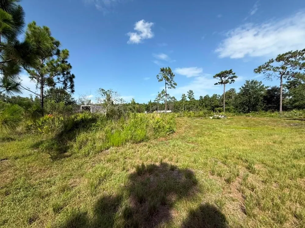 6139 KRAZY St Cloud, FL 34773
