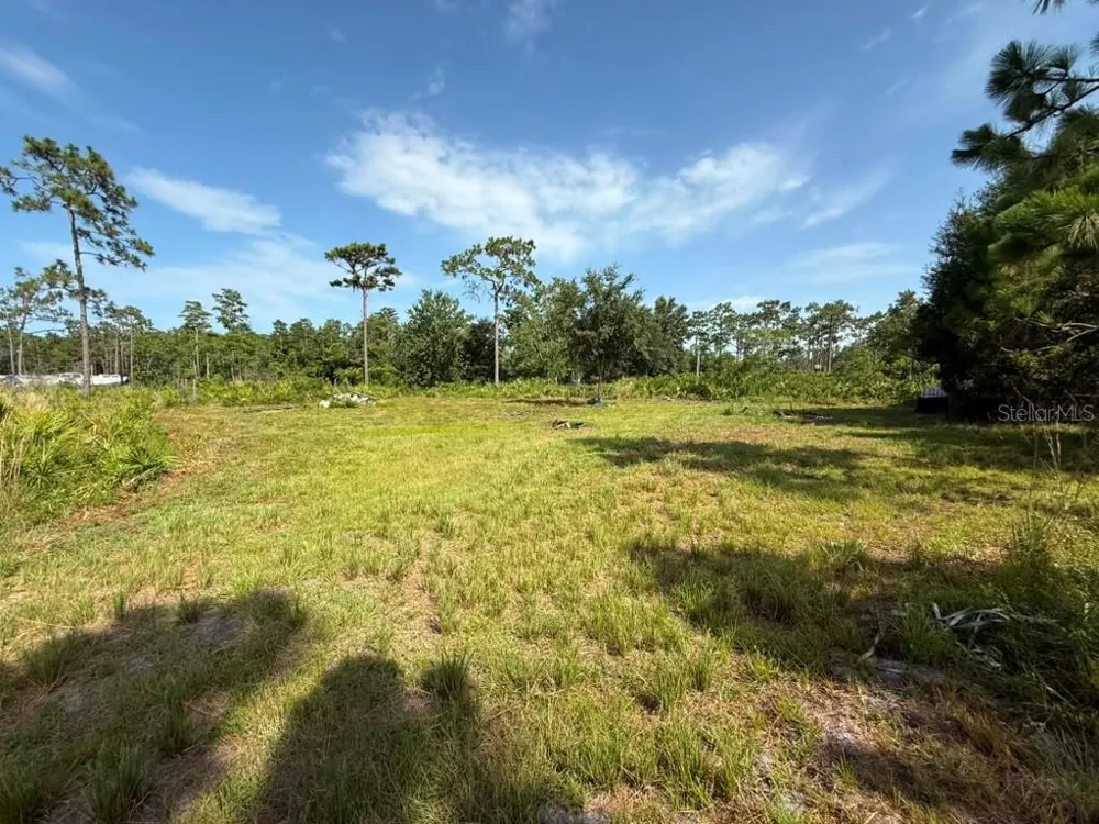 6139 KRAZY St Cloud, FL 34773