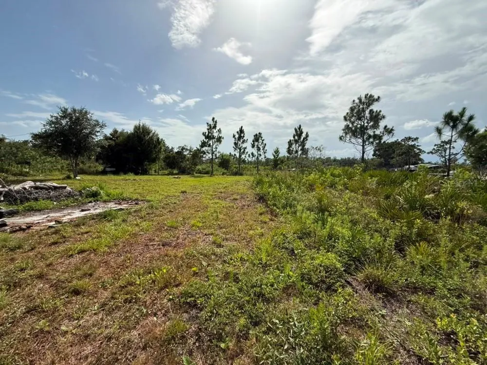 6139 KRAZY St Cloud, FL 34773