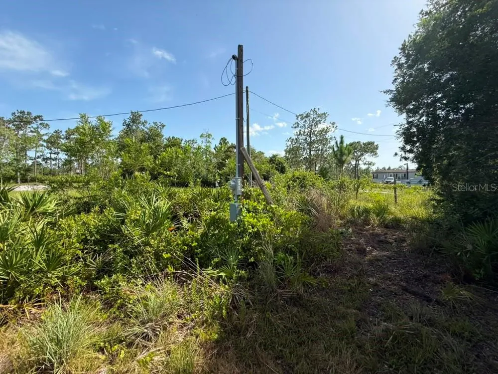 6139 KRAZY St Cloud, FL 34773