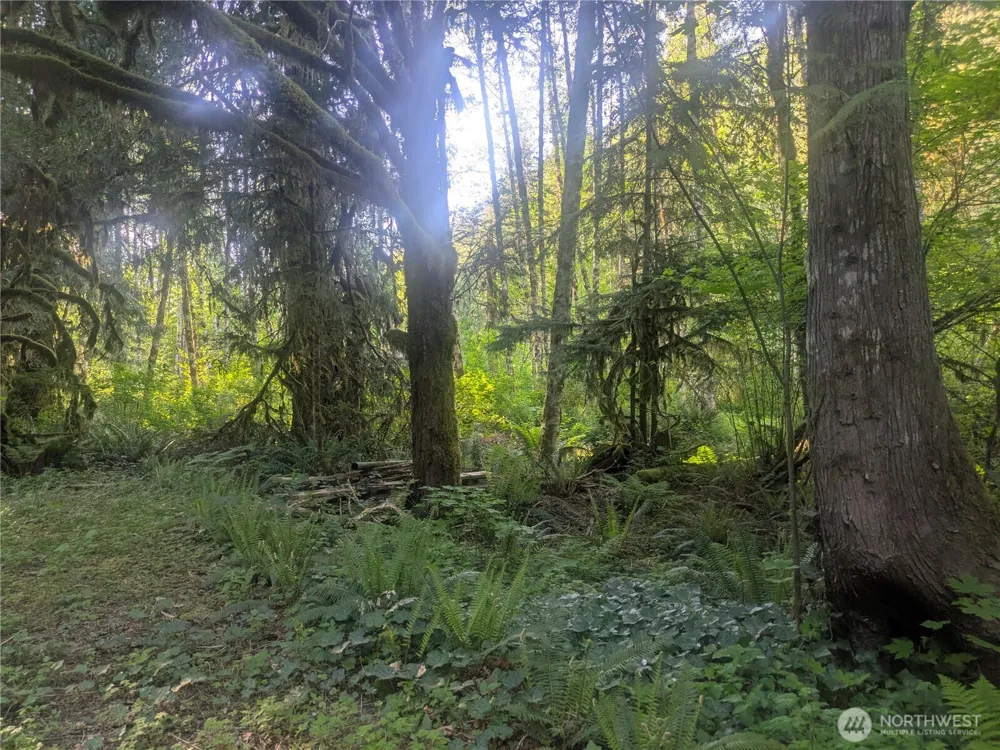 63323 W Cascade Way #D3-19 Marblemount, WA 98267