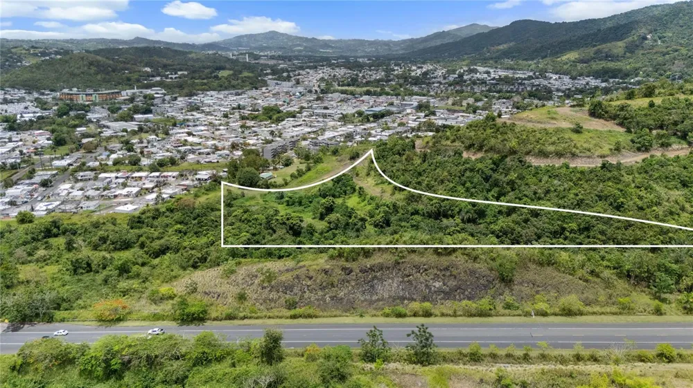 442 URB. VALLE ALTO AVENUE Cayey, PR 00736