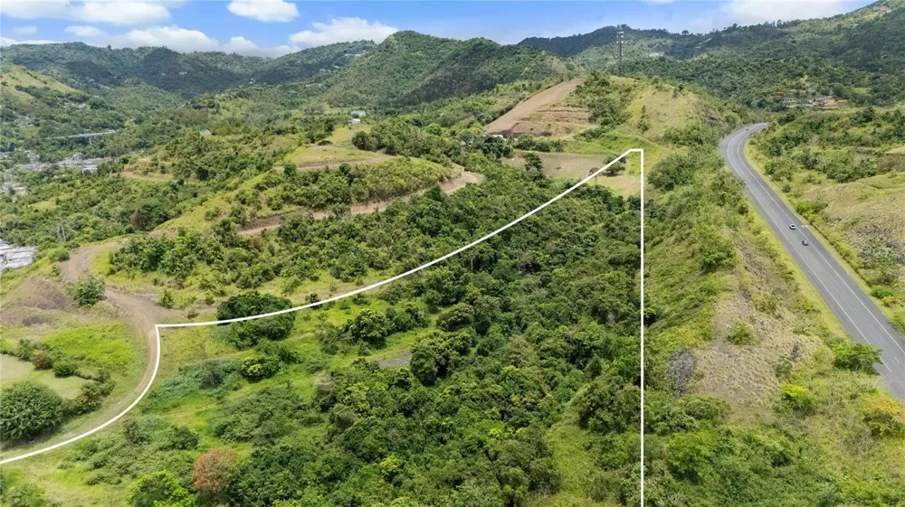 442 URB. VALLE ALTO AVENUE Cayey, PR 00736