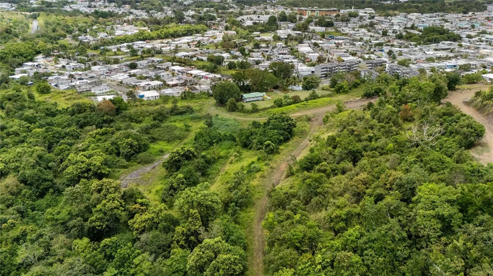 442 URB. VALLE ALTO AVENUE Cayey, PR 00736