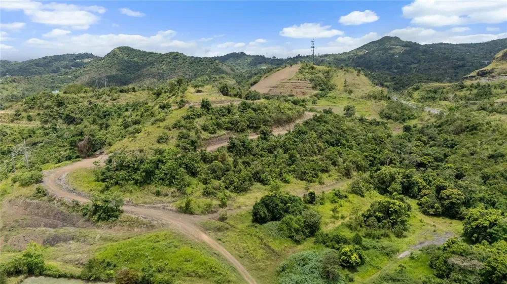 442 URB. VALLE ALTO AVENUE Cayey, PR 00736