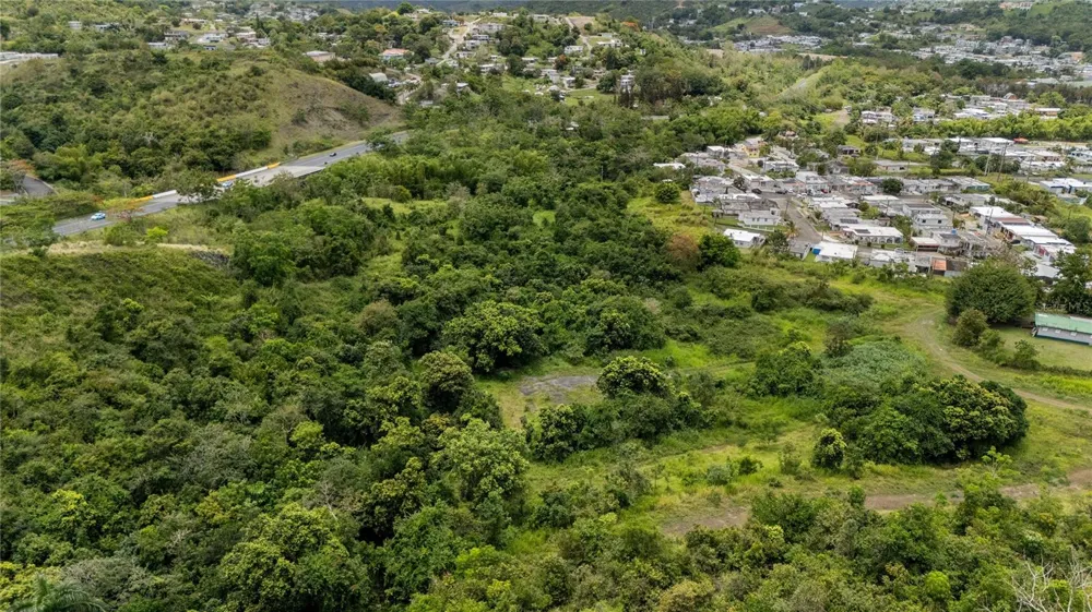 442 URB. VALLE ALTO AVENUE Cayey, PR 00736