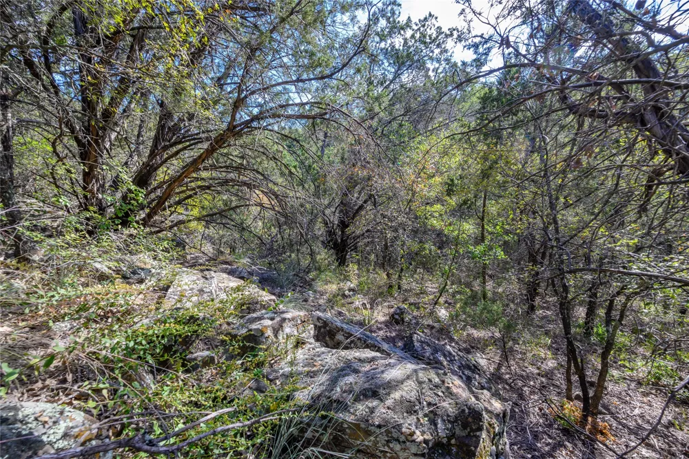 Ward Mt Santo, TX 76472