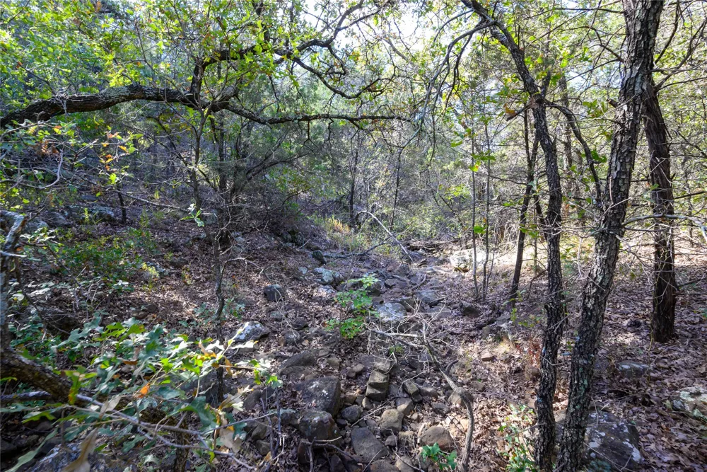 Ward Mt Santo, TX 76472