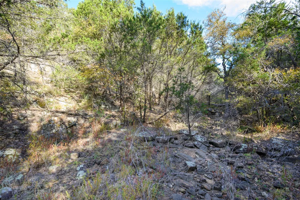 Ward Mt Santo, TX 76472