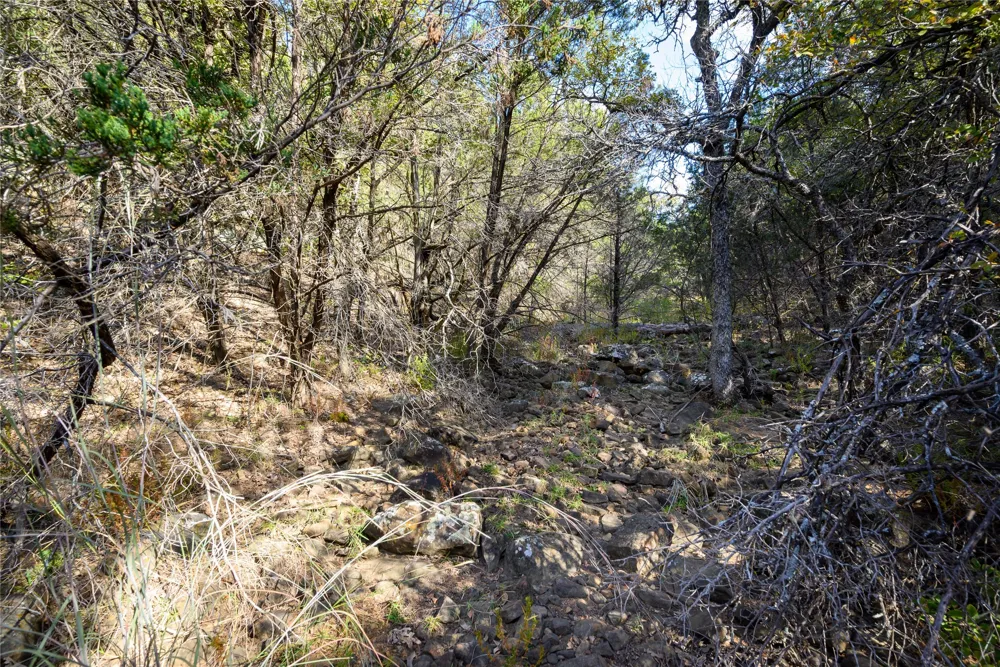 Ward Mt Santo, TX 76472