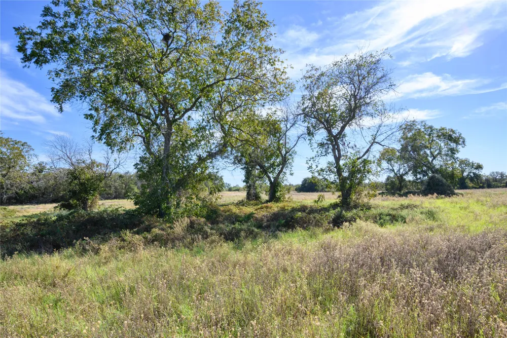 Ward Mt Santo, TX 76472