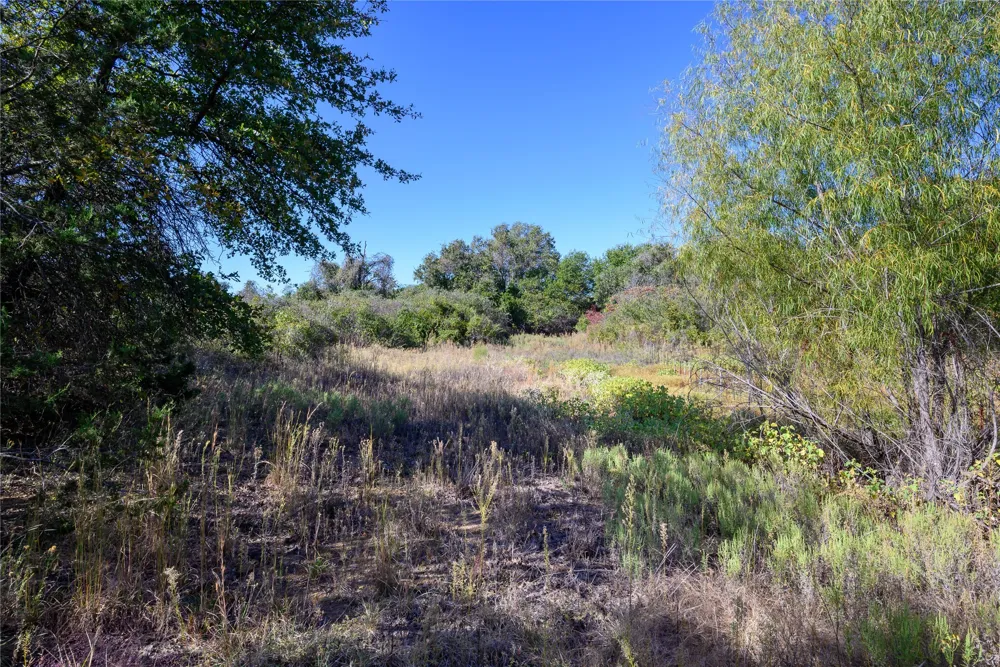 Ward Mt Santo, TX 76472