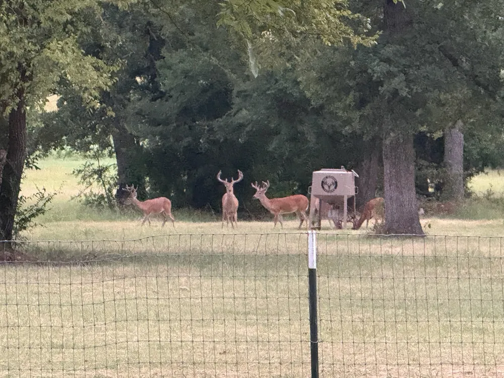 9748 County Road 1200 Athens, TX 75751