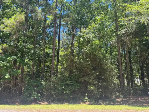 69 Sunny Hill Drive