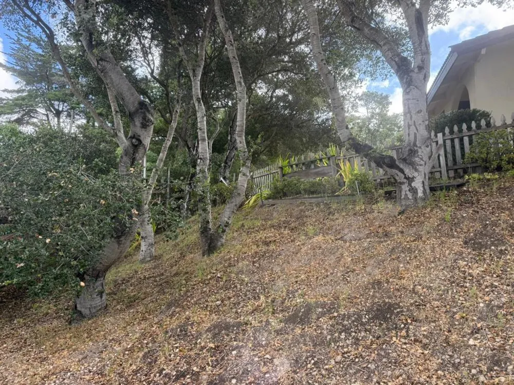 11585 Mccarthy Road Carmel Valley, CA 93924