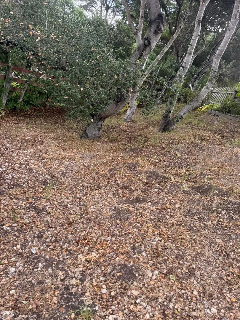 11585 Mccarthy Road Carmel Valley, CA 93924