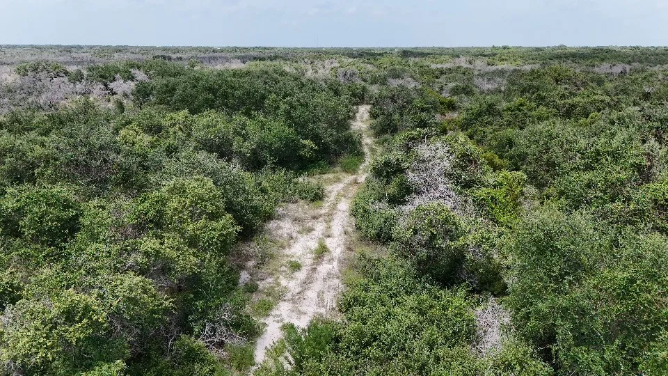 Saunders Aransas Pass, TX 78336