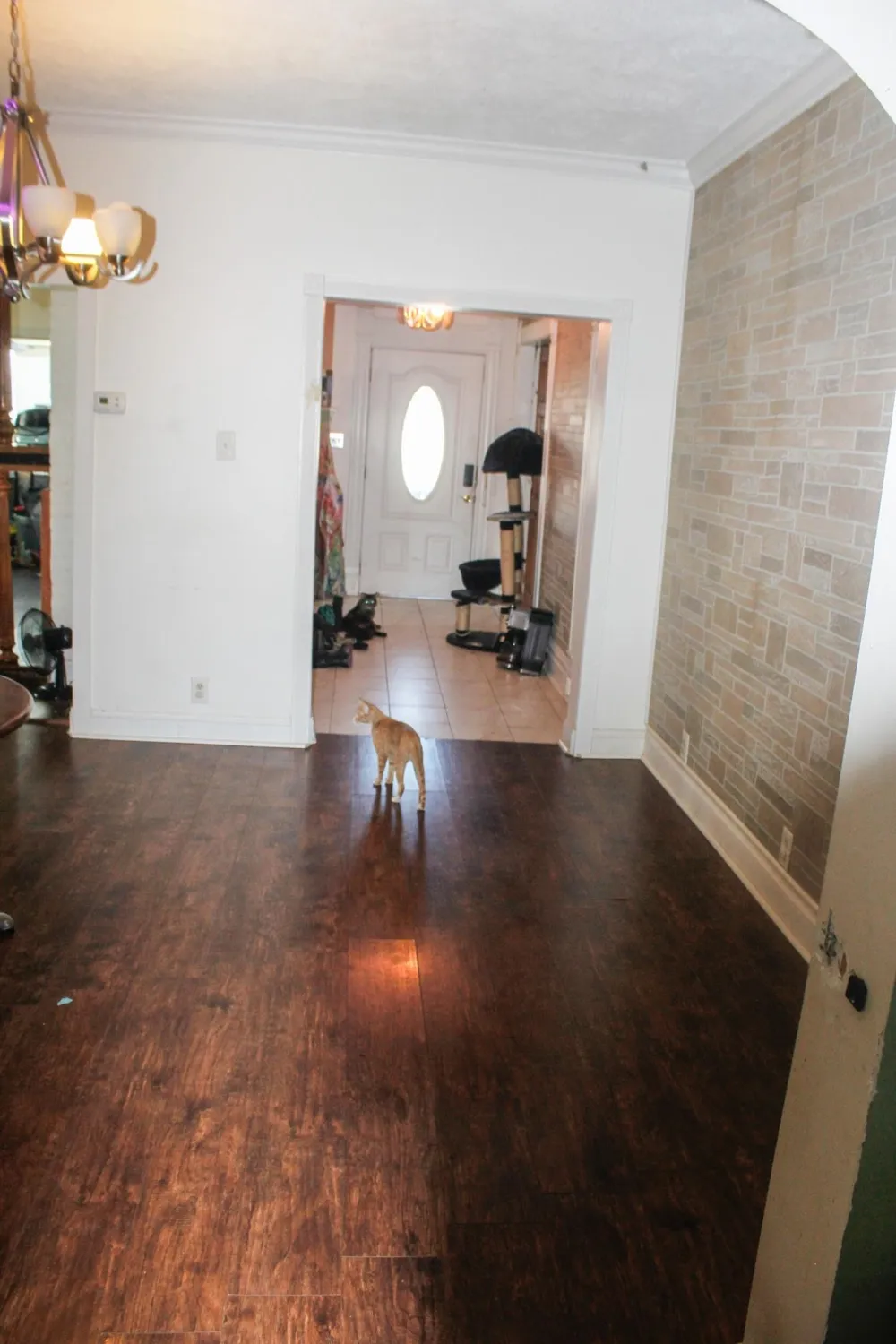 416 S Michigan Avenue Manton City, MI 49663
