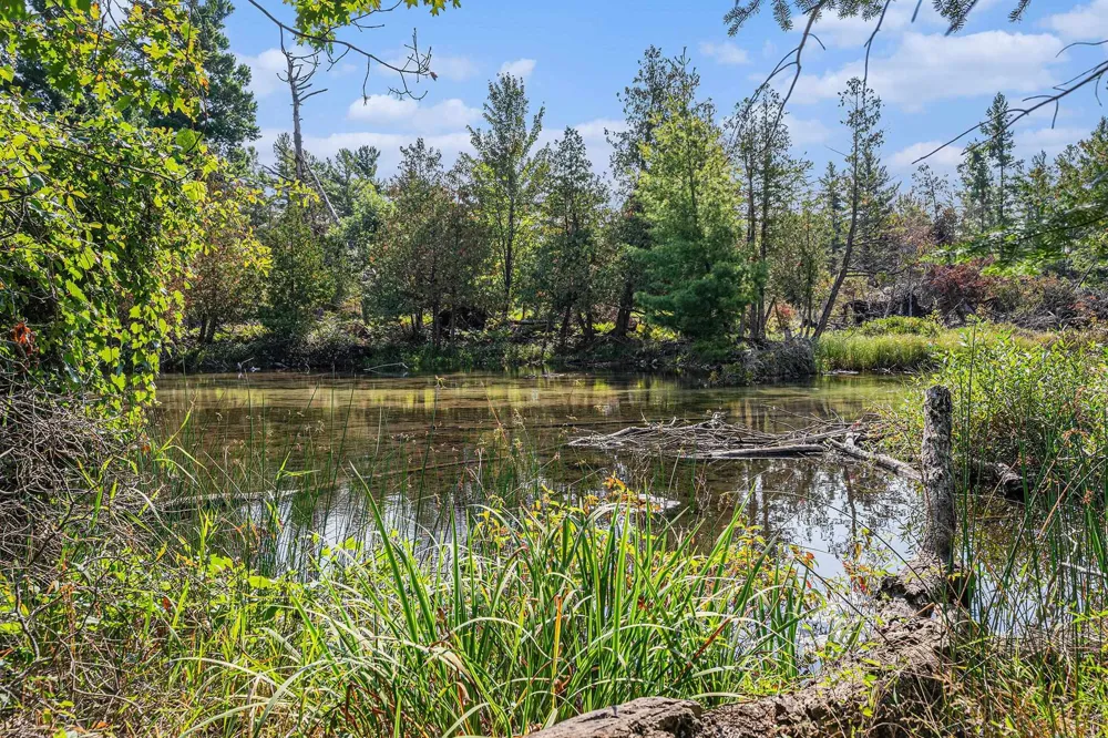 5760 W Crystal View Road Glen Arbor Township, MI 49636
