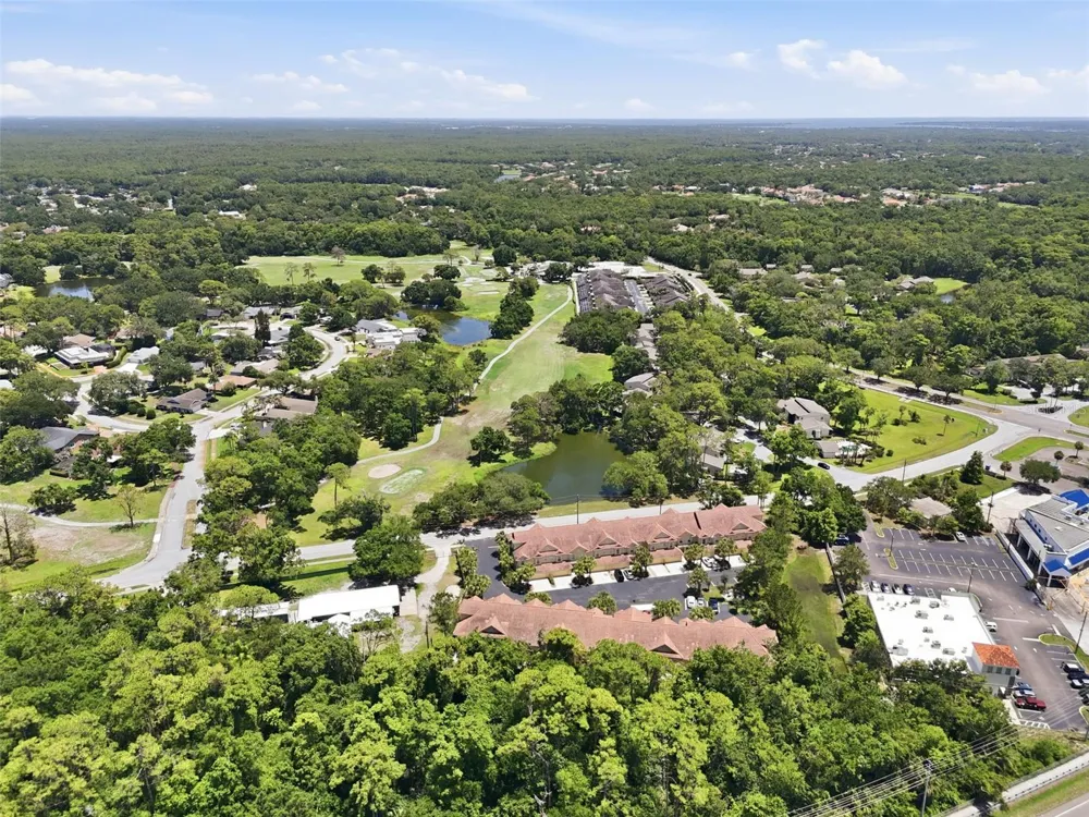 2656 TANGLEWOOD TRAIL Palm Harbor, FL 34685