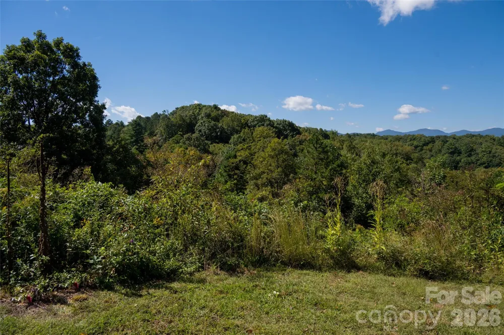 68 Sweet Fern Parkway Asheville, NC 28804