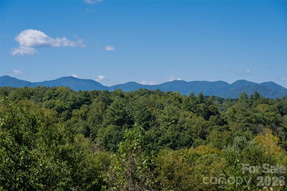 68 Sweet Fern Parkway Asheville, NC 28804