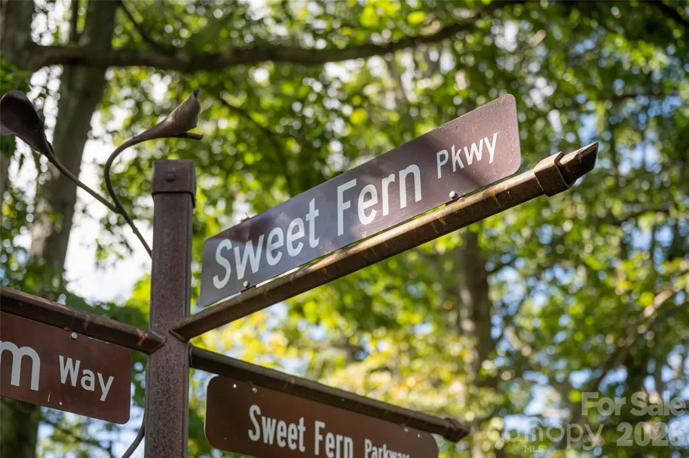 68 Sweet Fern Parkway Asheville, NC 28804
