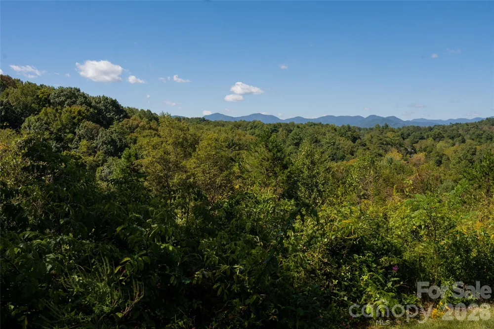 68 Sweet Fern Parkway Asheville, NC 28804