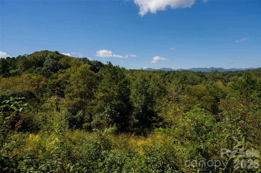 68 Sweet Fern Parkway Asheville, NC 28804