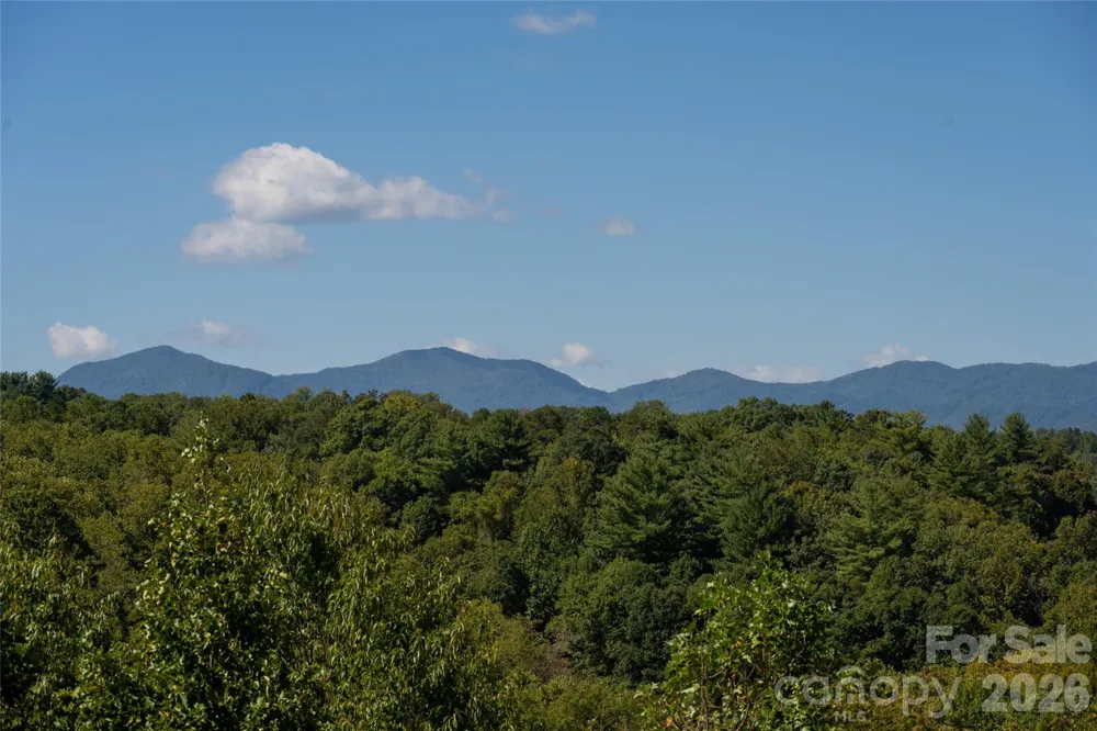 68 Sweet Fern Parkway Asheville, NC 28804
