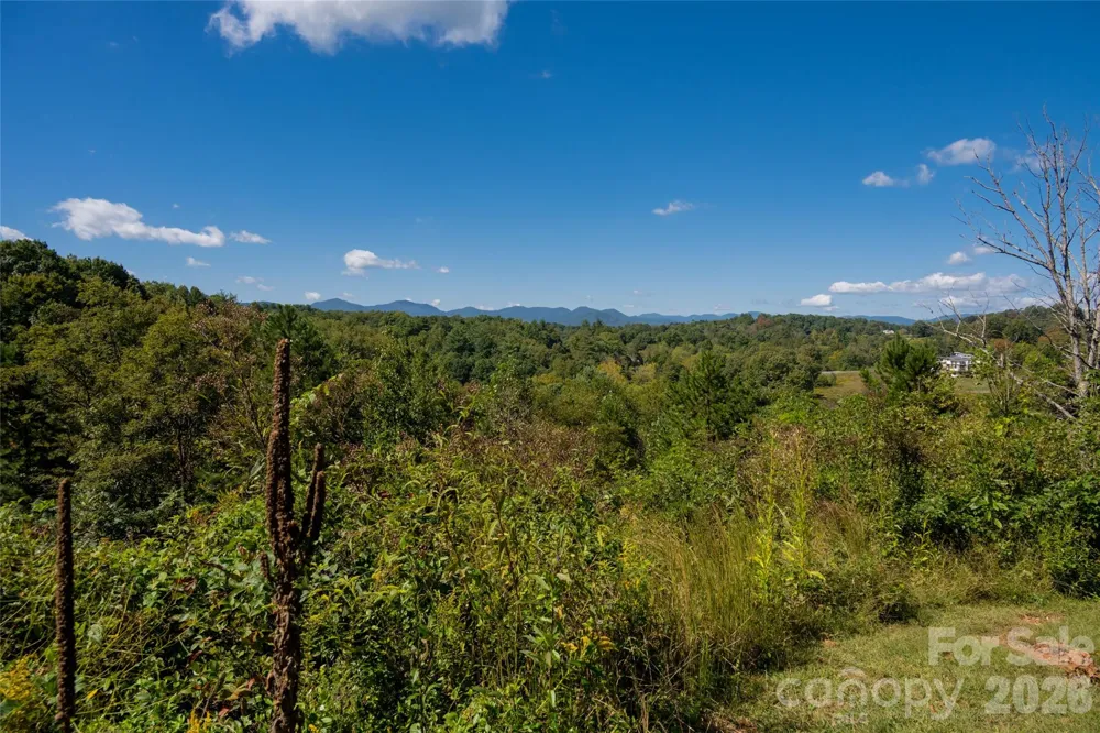 68 Sweet Fern Parkway Asheville, NC 28804