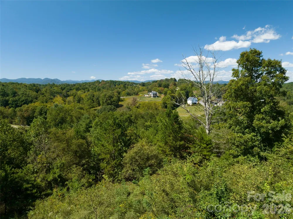 68 Sweet Fern Parkway Asheville, NC 28804