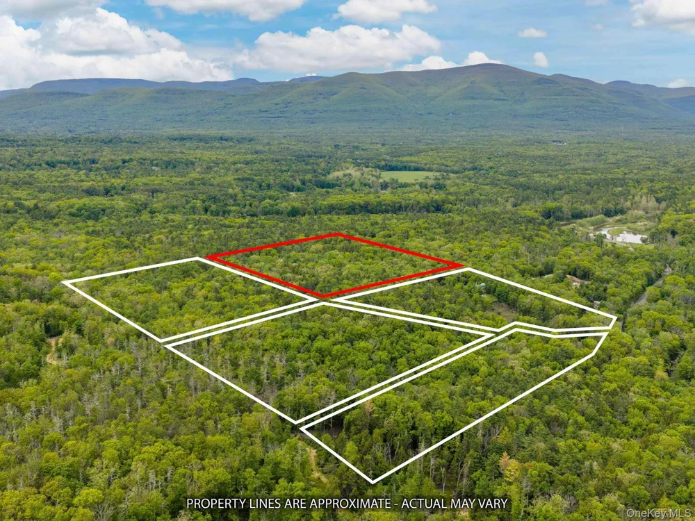 40 Mamoud Hills, Lot #4 Road Kingston, NY 12401