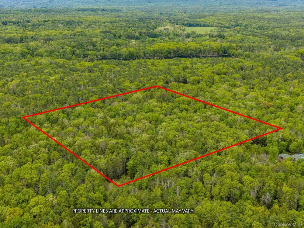40 Mamoud Hills, Lot #4 Road Kingston, NY 12401